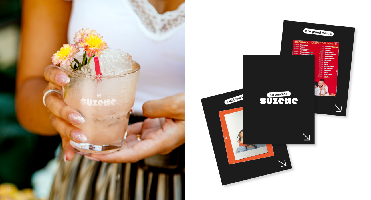 Illustration du projet Suzette 